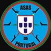 Asas de Portugal (Portuguese Air Force Aerobatic Team)