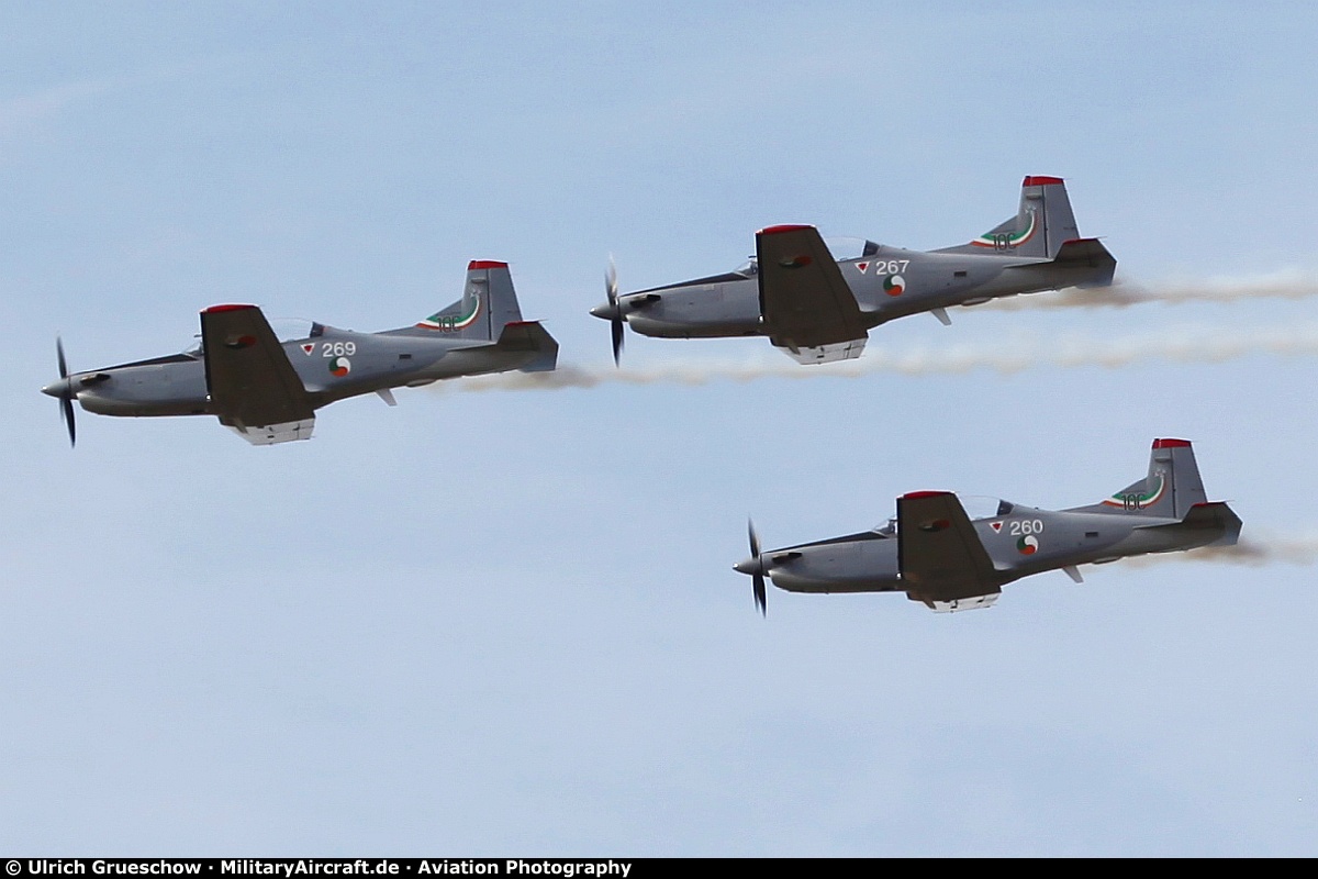 Silver Swallows Aerobatic Team